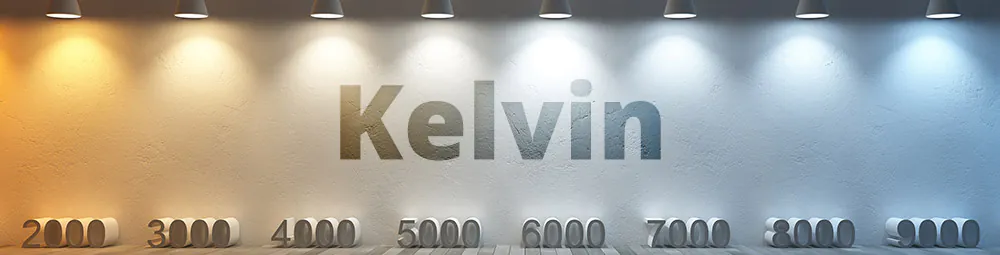 Kelvin Grafik